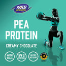 NOW Foods Pea Protein Creamy Chocolate Powder 2 lbs. - DailyVita