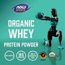 NOW Foods Whey Protein Organic Unflavored Powder 1 lb - DailyVita