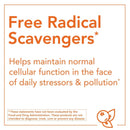 NOW Foods Acai 500 mg 100 Veg Capsules - DailyVita