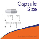 NOW Foods Bromelain 500 mg 60 Veg Capsules - DailyVita