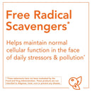 NOW Foods CurcuBrain 400 mg 50 Veg Capsules - DailyVita