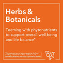 NOW Foods Echinacea & Goldenseal Glycerite 2 oz - DailyVita