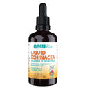 NOW Foods Echinacea Liquid for Kids 2 fl oz - DailyVita