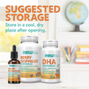 NOW Foods Echinacea Liquid for Kids 2 fl oz - DailyVita