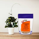 NOW Foods Empty Capsules Gelatin