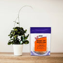 NOW Foods Empty Capsules Gelatin Double 00" 250 gel Caps" - DailyVita