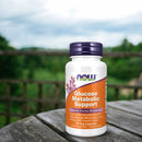 NOW Foods Glucose Metabolic Support 90 Veg Capsules - DailyVita