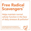 NOW Foods Lutein & Zeaxanthin 60 Softgels - DailyVita