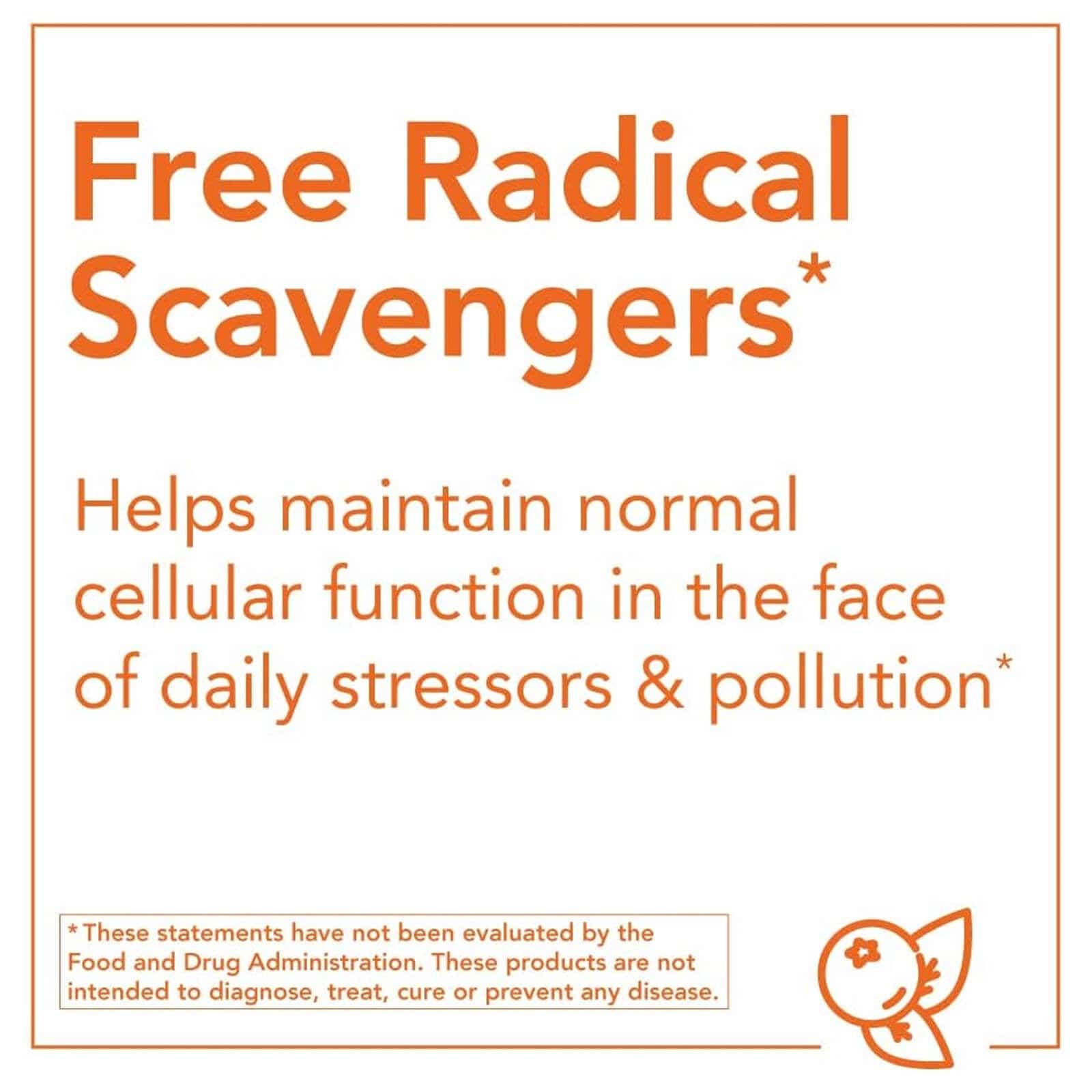 NOW Foods N-Acetyl Cysteine (NAC) 600 mg 250 Veg Capsules - DailyVita