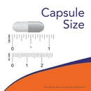 NOW Foods N-Acetyl Cysteine (NAC) 600 mg 250 Veg Capsules - DailyVita