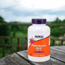 NOW Foods Pantothenic Acid 500 mg 250 Veg Capsules - DailyVita