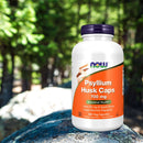 NOW Foods Psyllium Husk 700 mg 360 Veg Capsules - DailyVita