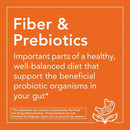 NOW Foods Psyllium Husk Powder 24 oz - DailyVita