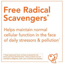 NOW Foods Rutin 450 mg 100 Veg Capsules - DailyVita