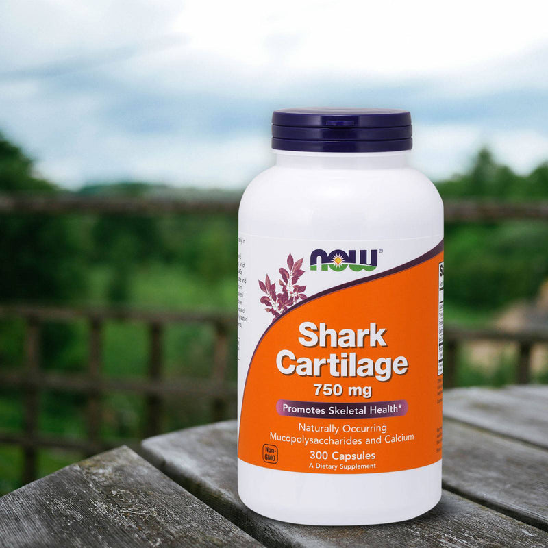 NOW Foods Shark Cartilage 750 mg 300 Capsules