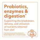 NOW Foods Slippery Elm 400 mg 100 Veg Capsules - DailyVita