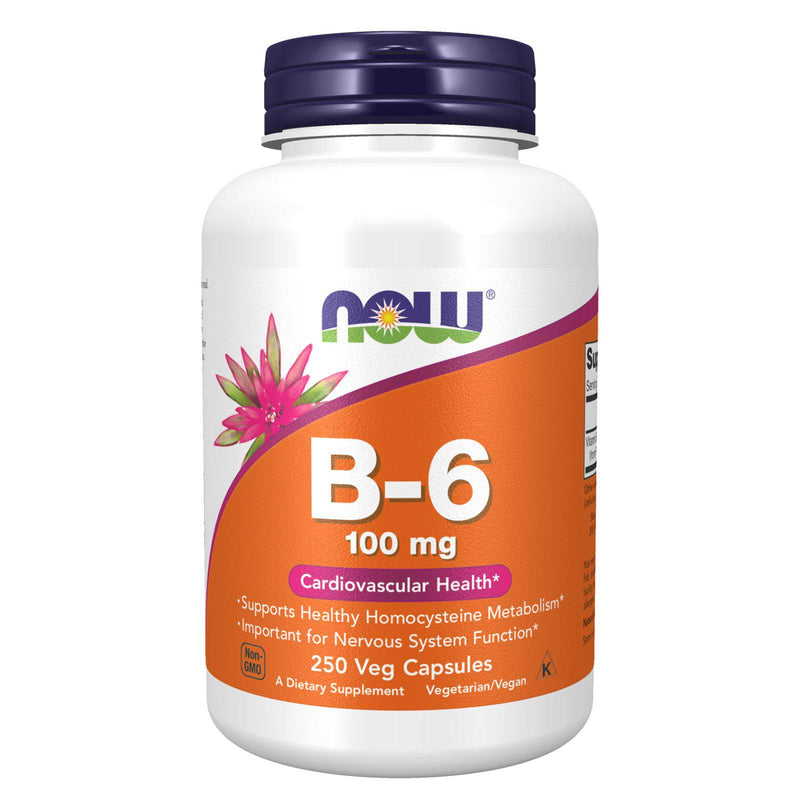 NOW Foods Vitamin B-6 100 mg 250 Veg Capsules