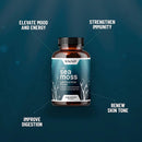 Irish Sea Moss - Bladderwrack, Burdock Root & Iodine Thyroid Support - 60 Capsules - DailyVita