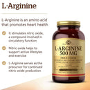 Solgar L-Arginine 500 mg 250 Vegetable Capsules - DailyVita