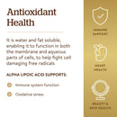 Solgar Alpha Lipoic Acid 200 mg 50 Vegetable Capsules - DailyVita