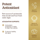 Solgar Astaxanthin 10 mg 30 Softgels - DailyVita