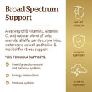 Solgar B-Complex with Vitamin C Stress Formula 250 Tablets - DailyVita