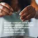 Solgar Comfort Zone Digestive Complex 90 Vegetable Capsules - DailyVita