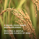 Solgar Earth Source Koji Fermented Iron 27 mg 60 Vegetable Capsules - DailyVita