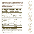 Solgar Ester-C Plus 500 mg Vitamin C (Ester-C Ascorbate Complex) 250 Vegetable Capsules - DailyVita