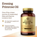 Solgar Evening Primrose Oil 500 mg 90 Softgels - DailyVita