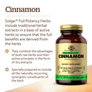 Solgar FP Cinnamon 100 Vegetable Capsules - DailyVita