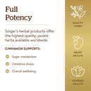Solgar FP Cinnamon 100 Vegetable Capsules - DailyVita