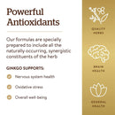 Solgar FP Super Ginkgo 120 Vegetable Capsules - DailyVita