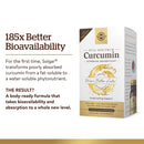 Solgar Full Spectrum Curcumin Liquid Extract 60 Softgels - DailyVita