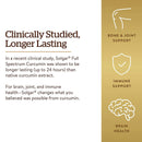 Solgar Full Spectrum Curcumin Liquid Extract 60 Softgels - DailyVita