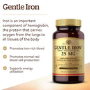 Solgar Gentle Iron 180 Vegetable Capsules - DailyVita