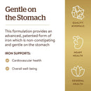 Solgar Gentle Iron 180 Vegetable Capsules - DailyVita