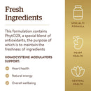 Solgar Homocysteine Modulators 120 Vegetable Capsules - DailyVita