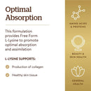 Solgar L-Lysine 1000 mg 100 Tablets - DailyVita