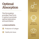 Solgar L-Lysine 1000 mg 250 Tablets - DailyVita