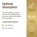 Solgar L-Methionine 500 mg 90 Vegetable Capsules - DailyVita