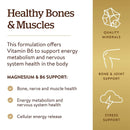 Solgar Magnesium with Vitamin B6 250 Tablets - DailyVita