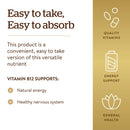 Solgar Methylcobalamin (Vitamin B12) 1000 mcg 30 Nuggets - DailyVita