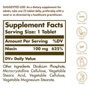 Solgar Niacin (Vitamin B3) 100 mg 100 Tablets - DailyVita