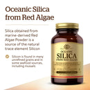 Solgar Oceanic Silica 25 mg 100 Vegetable Capsules - DailyVita