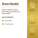 Solgar Oceanic Silica 25 mg 100 Vegetable Capsules - DailyVita