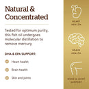 Solgar Omega-3 Fish Oil Concentrate 240 Softgels - DailyVita