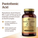 Solgar Pantothenic Acid 550 mg 100 Vegetable Capsules - DailyVita