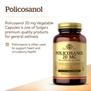 Solgar Policosanol 20 mg 100 Vegetable Capsules - DailyVita