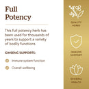 Solgar SFP Korean Ginseng Root Extract 60 Vegetable Capsules - DailyVita